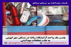 پلمپ یک واحد آرایشگاه زنانه در مسکن مهر لپویی به علت تخلفات بهداشتی