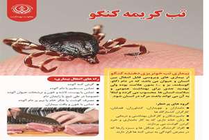 تب کریمه کنگو را جدی بگیرید!