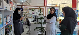 بازرسی مدیر غذا و داروی شهرستان زرقان از داروخانه های فعال سطح شهر