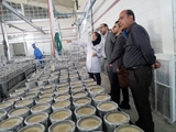 بازدید سرپرست شبکه بهداشت ودرمان زرقان از واحدهای خوراکی آشامیدنی و آرایشی بهداشتی تحت پوشش