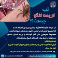 در مورد تب خونریزی دهنده کریمه کنگو بیشتر بدانیم 