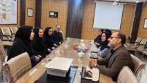 ارزیابی برنامه سلامت سالمندان در شبکه بهداشت و درمان شهرستان زرقان