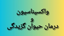 تداوم ارایه خدمات واکسیناسیون و درمان پیشگیری  از حیوان گزیدگی در شرایط بحران